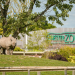 Zoo und so - Tierisch wild!