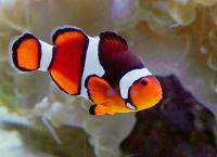 Zoo und so - Tierisch wild!
