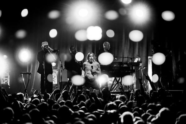 Bild 1 von 1: Iggy Pop