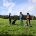 Das Haustiercamp