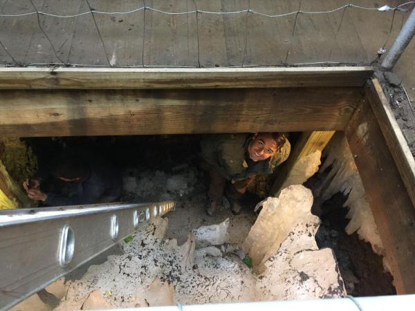 Bild 1 von 2: Rob Nelson