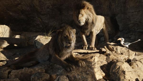 Bild 1 von 11: (v.l.n.r.) Scar; Mufasa; Zazu
