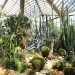 Frankfurts grünes Wohnzimmer - der Palmengarten