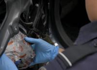Border Patrol USA - Einsatz an Mexikos Grenze: Folge 4