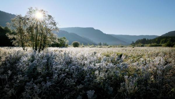 Bild 1 von 4: Hörfeldmoor im Naturpark Zirbitzkogel?Grebenzen. Das Naturjuwel entstand vor 10.000 Jahren durch dasAbschmelzen des Murtalgletschers.