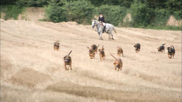 Bild 1 von 14: Jagd-Jogger.