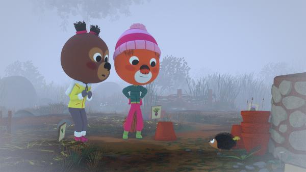 Bild 1 von 1: Edmund und Luzie treffen im Nebel auf Bommel, den Igel.