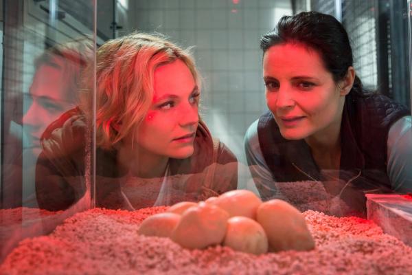 Bild 1 von 3: Tierärztin Dr. Mertens (Elisabeth Lanz, rechts) und ihre Assistentin Annett (Anna Bertheau, links) stellen erfreut fest, dass sämtliche Pythoneier befruchtet sind und der Nachwuchs wohl nicht lange auf sich warten lassen wird.