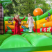 Bild 12