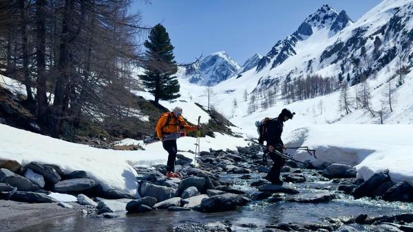 Bild 1 von 3: .