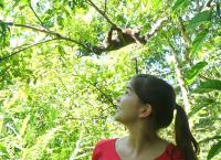 Anna und die wilden Tiere