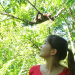 Anna und die wilden Tiere