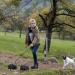 Tiere bis unters Dach