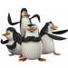 Die Pinguine aus Madagascar