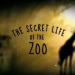 Zoo und so - Tierisch wild!