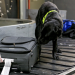Border Patrol Ireland - Einsatz an der Grenze