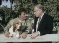 Columbo: Selbstbildnis eines Mörders