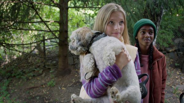 Bild 1 von 1: Um Geld zu verdienen, führt Jenny mit Naomi fremde Hunde aus (v.l.n.r.: Anine Bonnevie Nagell-Hßyer, Solyana Tesfaye Tikabo).
