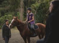 Mystic - Das Geheimnis von Kauri Point