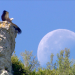 GEO Reportage