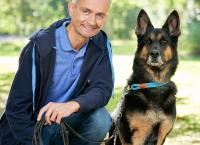 Der Hundeprofi - Rütters Team