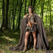 Bild 8
