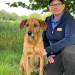 Der Hundeprofi - Rütters Team