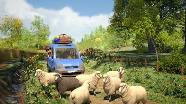 Bild 1 von 3: Bohnenstange kann es nicht fassen, wie man freiwillig aufs Land ziehen kann.