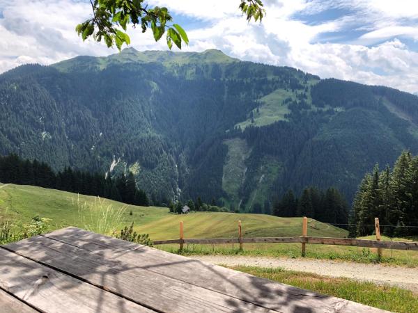 Bild 1 von 9: Im Bild: Blick von der Lueg Egg-Alm in Jochberg.