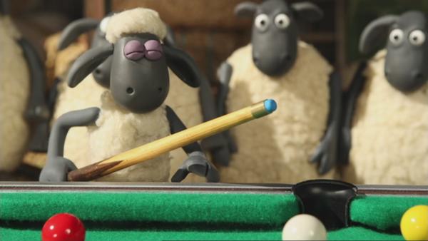 Bild 1 von 4: Bitzer und Shaun liefern sich ein spannendes Duell auf dem nagelneuen Billardtisch.