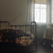 The Curse of Audrey Earnshaw