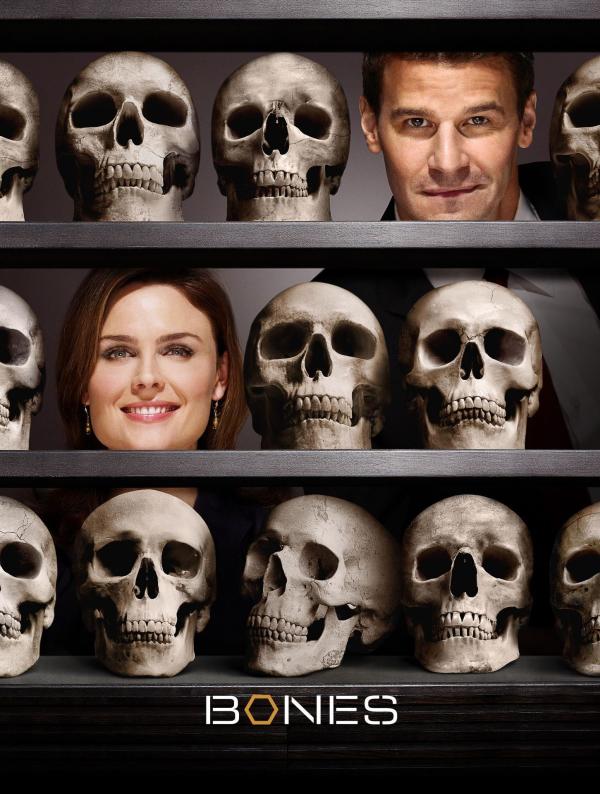 Bild 1 von 8: Bones - Die Knochenjägerin - Artwork