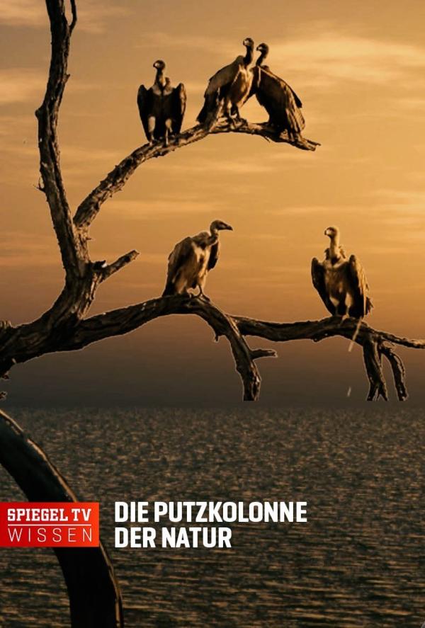 Bild 1 von 2: .