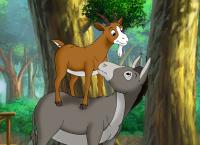 Bibi und Tina
