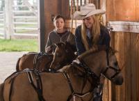 Heartland - Paradies für Pferde