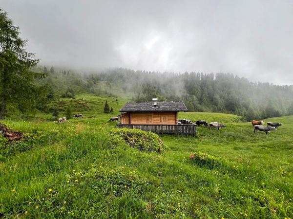 Bild 1 von 31: Im Bild: Unterwöger Alm.