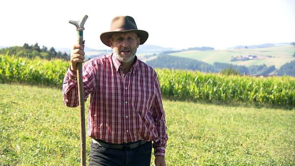 Bild 1 von 8: Im Bild: Biobauer Hans Reisenberger bietet Bioweidegänse an.