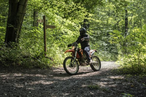 Bild 1 von 11: Ein Motorradfahrer braust durch den Wald und bemerkt nicht, wie er eine wichtige Spur verwischt.