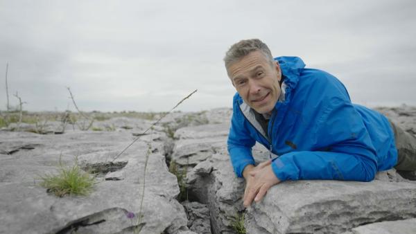 Bild 1 von 9: Im Burren Nationalpark ist nichts wie es scheint. Wasser verschwindet in ausgedehnten unterirdischen Flussläufen. Und doch ist der schroffe Fels Lebensraum vieler seltener Pflanzenarten.