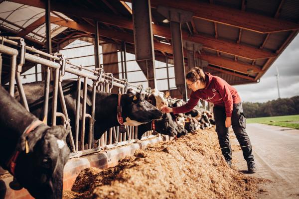 Bild 1 von 15: Welche Probleme bringt die Intensivierung von Landwirtschaft im Laufe der Geschichte mit sich?