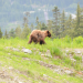 Abenteuer extrem - Kanada mit Charley Boorman