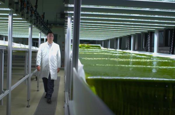 Bild 1 von 5: Prof. Thomas Brück untersucht an der TU München, wie klimafreundliche Algenprodukte in der Industrie- und Baubranche eingesetzt werden können.