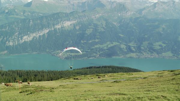 Bild 1 von 5: .