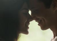 Die Wahrheit über...