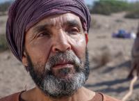 Das Trojanische Pferd