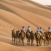 Wildes Arabien