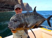 Giganten unter Wasser - Riesenfischen auf der Spur