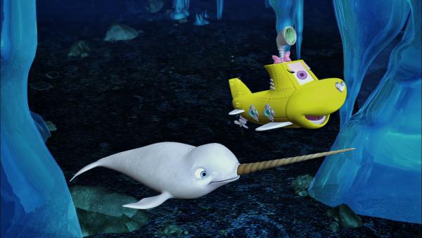 Bild 1 von 3: Bess begegnet in der Arktis einem Narwal.