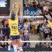 Volleyball Live - Bundesliga
