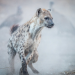 Fight Club der Tiere - Gemeinsame Stärke